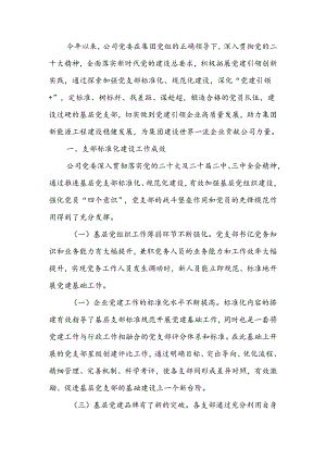 国企党支部标准化规范化建设工作总结.docx