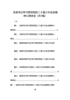 支部书记学习贯彻党的二十届三中全会精神心得体会7篇（最新版）.docx