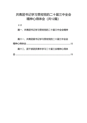 共青团书记学习贯彻党的二十届三中全会精神心得体会（共12篇）.docx