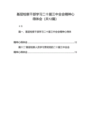 基层检察干部学习二十届三中全会精神心得体会12篇（详细版）.docx