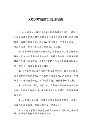 XX乡村级财务管理制度.docx