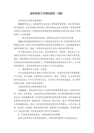 宣传信息工作情况报告（3篇）.docx