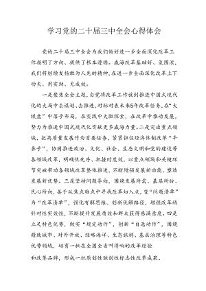 学习2024年学习党的二十届三中全会个人心得感悟 （3份）_98.docx