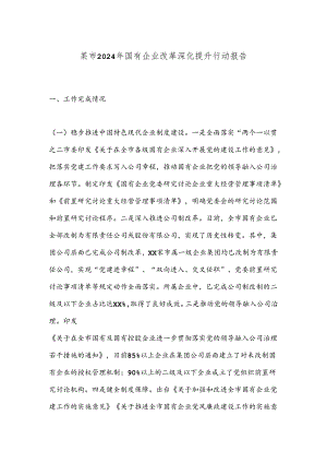 某市2024年国有企业改革深化提升行动报告.docx