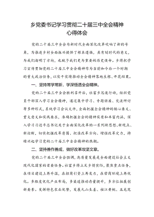 乡党委书记学习贯彻二十届三中全会精神心得体会.docx