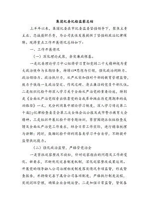 集团纪委纪检监察总结.docx