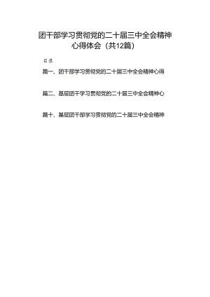 团干部学习贯彻党的二十届三中全会精神心得体会范文12篇（详细版）.docx