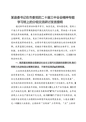 某县委书记在市委党的二十届三中全会精神专题学习班上的分组交流研讨发言提纲.docx