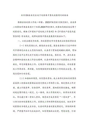 共青团X县委员会关于巡察集中整改进展情况的报告.docx