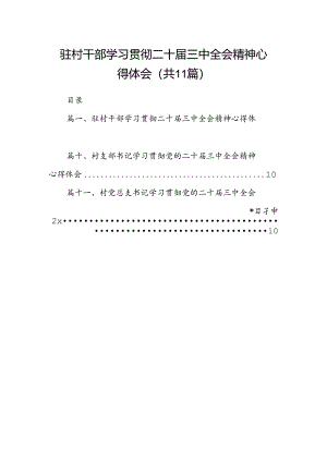 （11篇）驻村干部学习贯彻二十届三中全会精神心得体会集合.docx