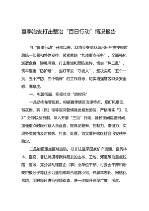 派出所2024年纵深推进夏季治安打击整治行动工作总结(十五篇).docx
