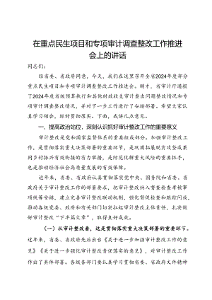 在重点民生项目和专项审计调查整改工作推进会上的讲话.docx