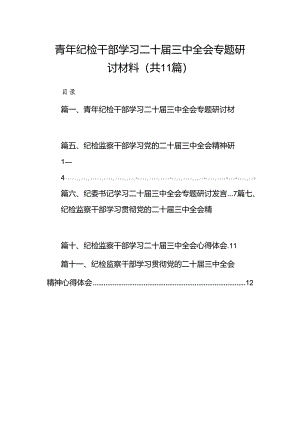 （11篇）青年纪检干部学习二十届三中全会专题研讨材料范文.docx