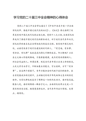 学习贯彻二十届三中全会精神的心得体会范文合辑28篇.docx