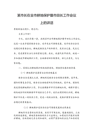 某市长在全市耕地保护暨市田长工作会议上的讲话.docx
