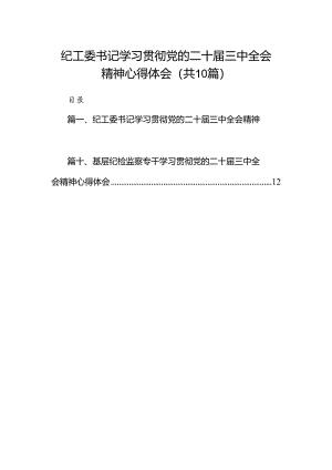 （10篇）纪工委书记学习贯彻党的二十届三中全会精神心得体会范文.docx