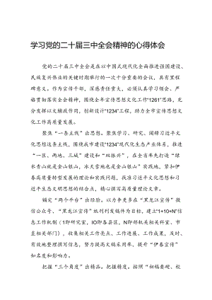 2024年党的二十届三中全会精神学习体会研讨发言合集三十篇.docx