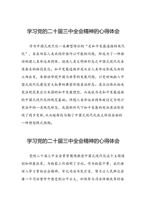 党员学习贯彻党的二十届三中全会精神心得感悟交流发言33篇.docx