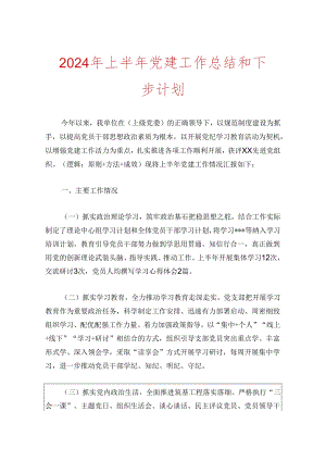 2024年上半年党建工作总结和下步计划.docx
