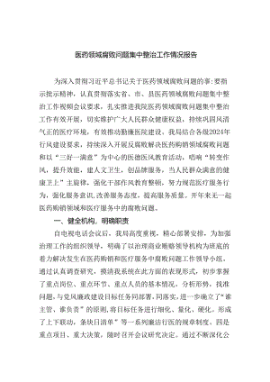 （10篇）医药领域腐败问题集中整治工作情况报告（详细版）.docx