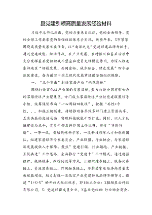 县党建引领高质量发展经验材料.docx
