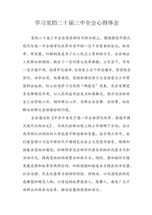 2024年学习学习党的二十届三中全会个人心得体会 （9份）.docx