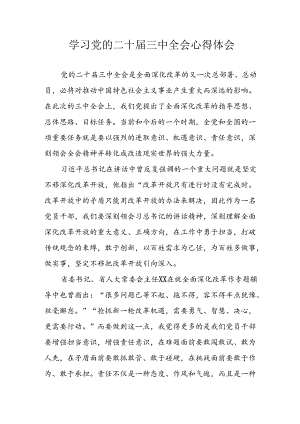 学习2024年学习党的二十届三中全会个人心得感悟 （3份）_88.docx