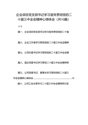 （10篇）企业项目党支部书记学习宣传贯彻党的二十届三中全会精神心得体会范文.docx