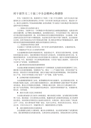 村干部学习二十届三中全会精神心得感悟.docx