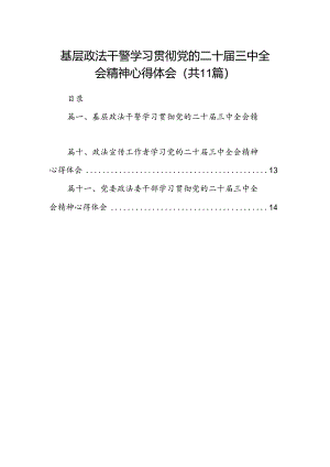 （11篇）基层政法干警学习贯彻党的二十届三中全会精神心得体会（精选）.docx
