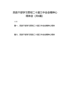 民政干部学习贯彻二十届三中全会精神心得体会六篇（详细版）.docx