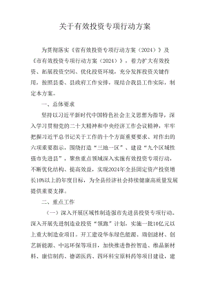 关于有效投资专项行动方案.docx