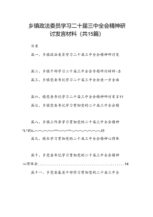 （15篇）乡镇政法委员学习二十届三中全会精神研讨发言材料集合.docx