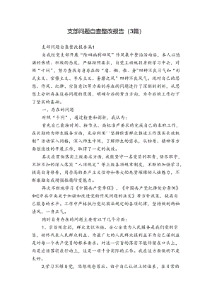 支部问题自查整改报告（3篇）.docx