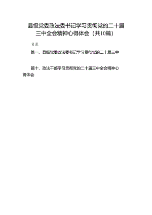 县级党委政法委书记学习贯彻党的二十届三中全会精神心得体会（共10篇）.docx