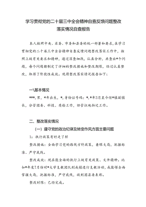 乡镇副镇长学习贯彻党的二十届三中全会精神自查反馈问题整改落实情况个人自查报告.docx