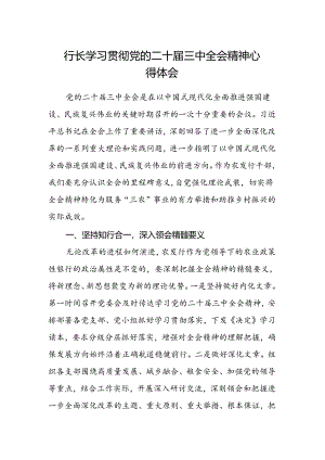 行长学习贯彻党的二十届三中全会精神心得体会.docx