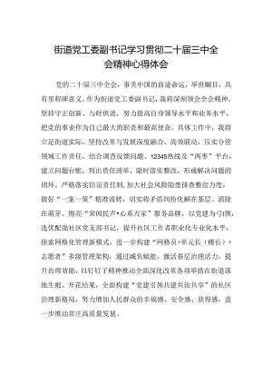 街道党工委副书记学习贯彻二十届三中全会精神心得体会.docx