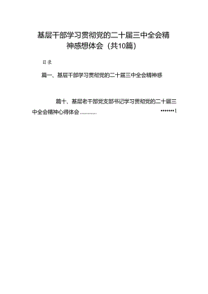 （10篇）基层干部学习贯彻党的二十届三中全会精神感想体会范文.docx