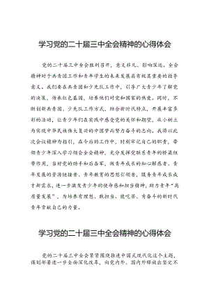 关于二十届三中全会精神的心得体会合集42篇.docx