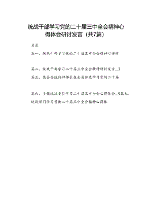 统战干部学习党的二十届三中全会精神心得体会研讨发言7篇（精选版）.docx
