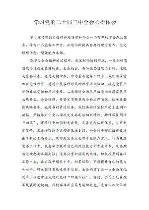 学习2024年学习党的二十届三中全会个人心得感悟 （3份）_49.docx