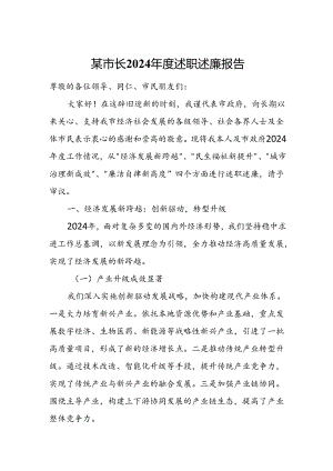 某市长2024年度述职述廉报告.docx