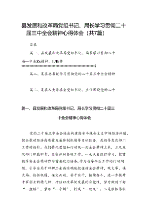 县发展和改革局党组书记、局长学习贯彻二十届三中全会精神心得体会7篇（详细版）.docx