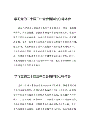 关于二十届三中全会精神的心得体会最新版.docx