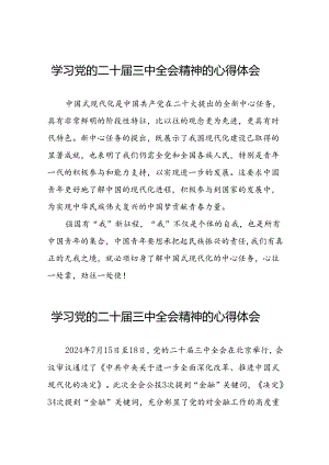 党员干部二十届三中全会精神学习体会例文33篇.docx