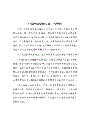 公司2024年纪检监察工作要点.docx