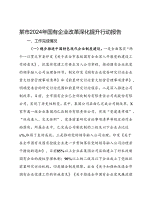 某市2024年国有企业改革深化提升行动报告.docx