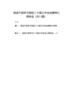 （11篇）统战干部学习党的二十届三中全会精神心得体会范文.docx