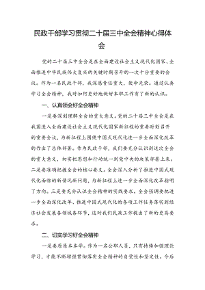 民政干部学习贯彻二十届三中全会精神心得体会.docx